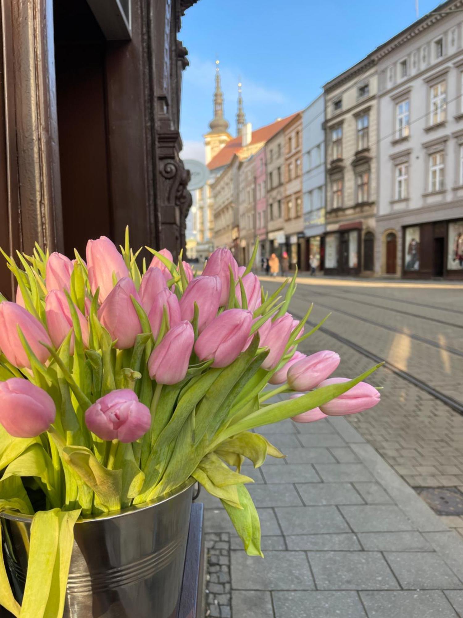 Pension Moravia Olomouc Ngoại thất bức ảnh